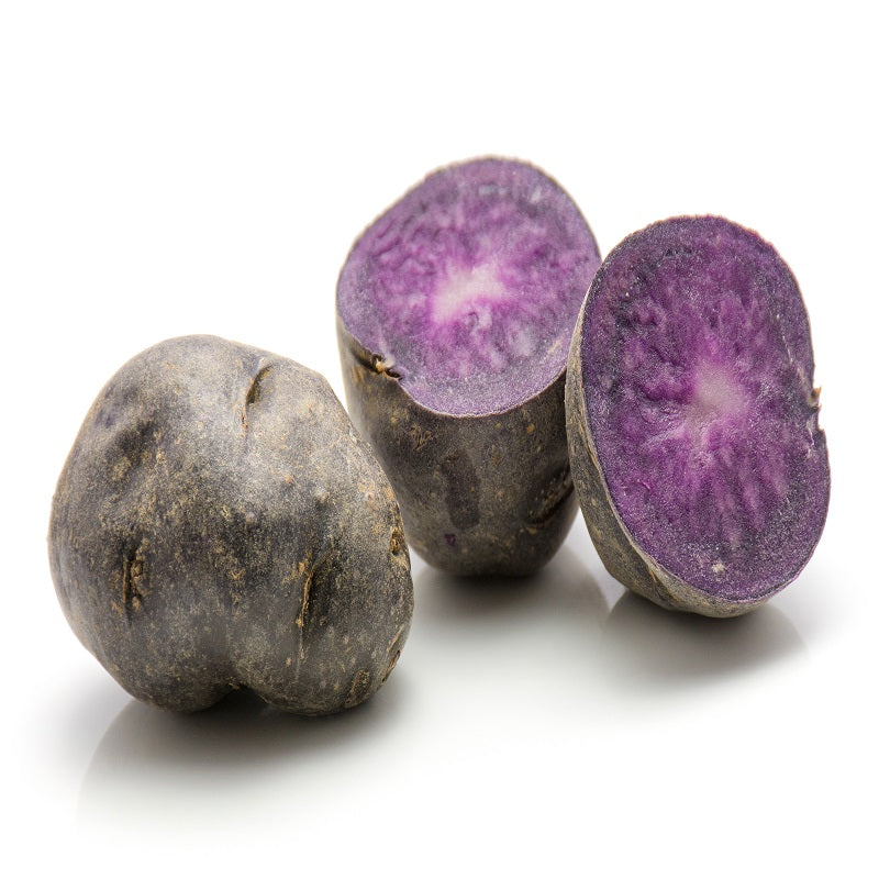 Solanum tuberosum ulysse - Pommes de terre Ulysse Bio - Plants de pommes de terre Bio