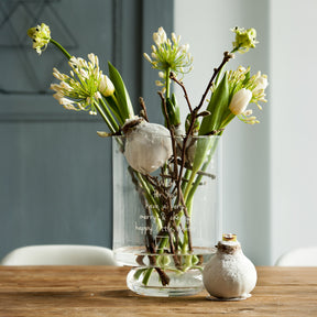 Amaryllis Magic White - Wax  Amaryllis Magic White - Plantes fleuries