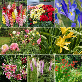 Massif d'été fleuri en mélange - 1,5 m² - Willemse