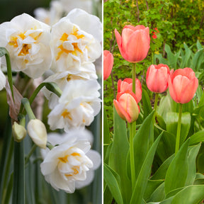  - Tulipe Van Eijk & Narcisse Bridal Crown - 
