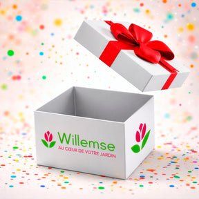 30 bulbes en cadeau