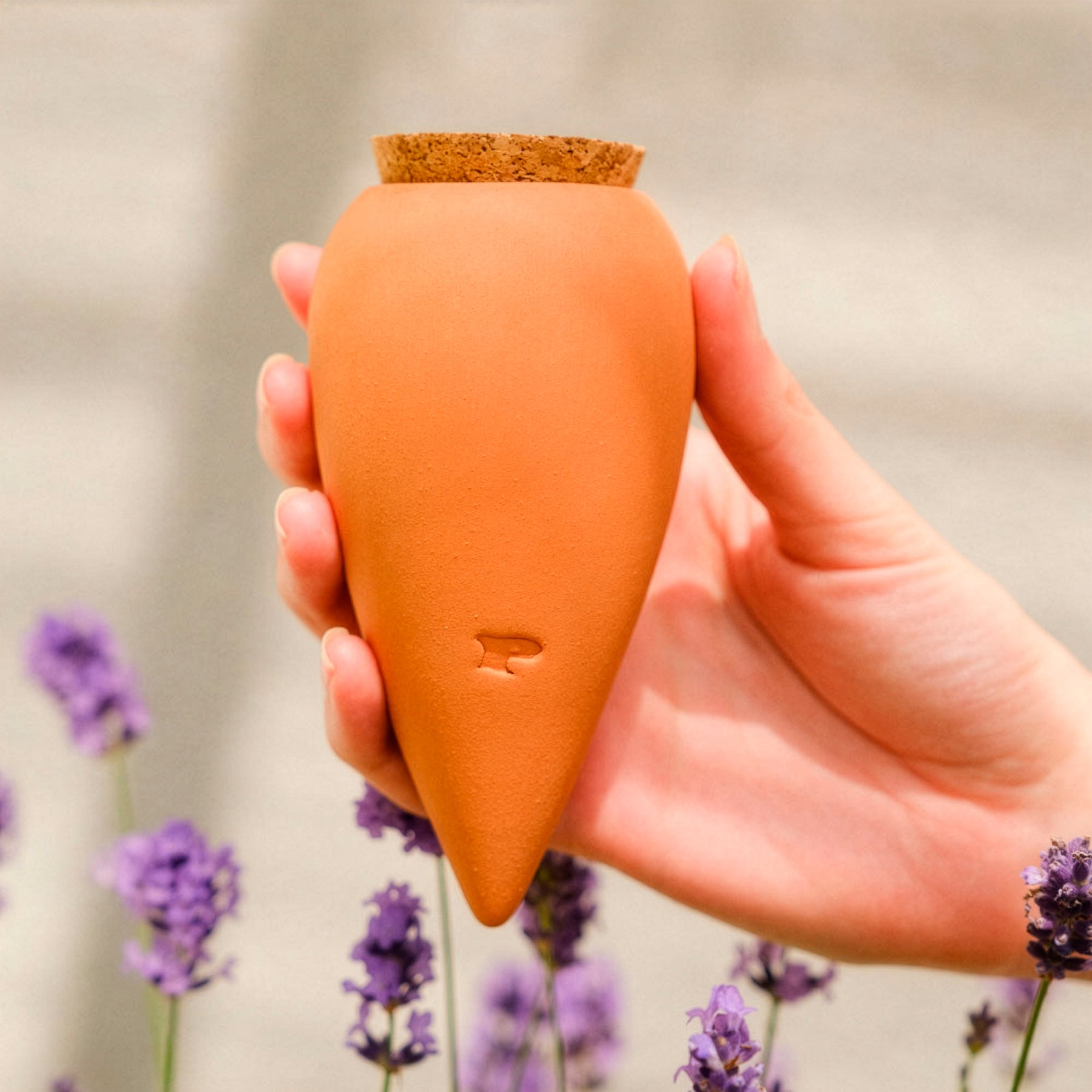 Matériel d'arrosage et récupérateurs d'eau - Olla hydratante Terracotta - 