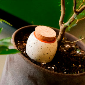 Olla hydratante blanc grainé -  - Willemse