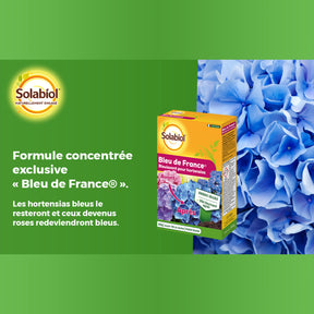 Bleu de France -  - Willemse