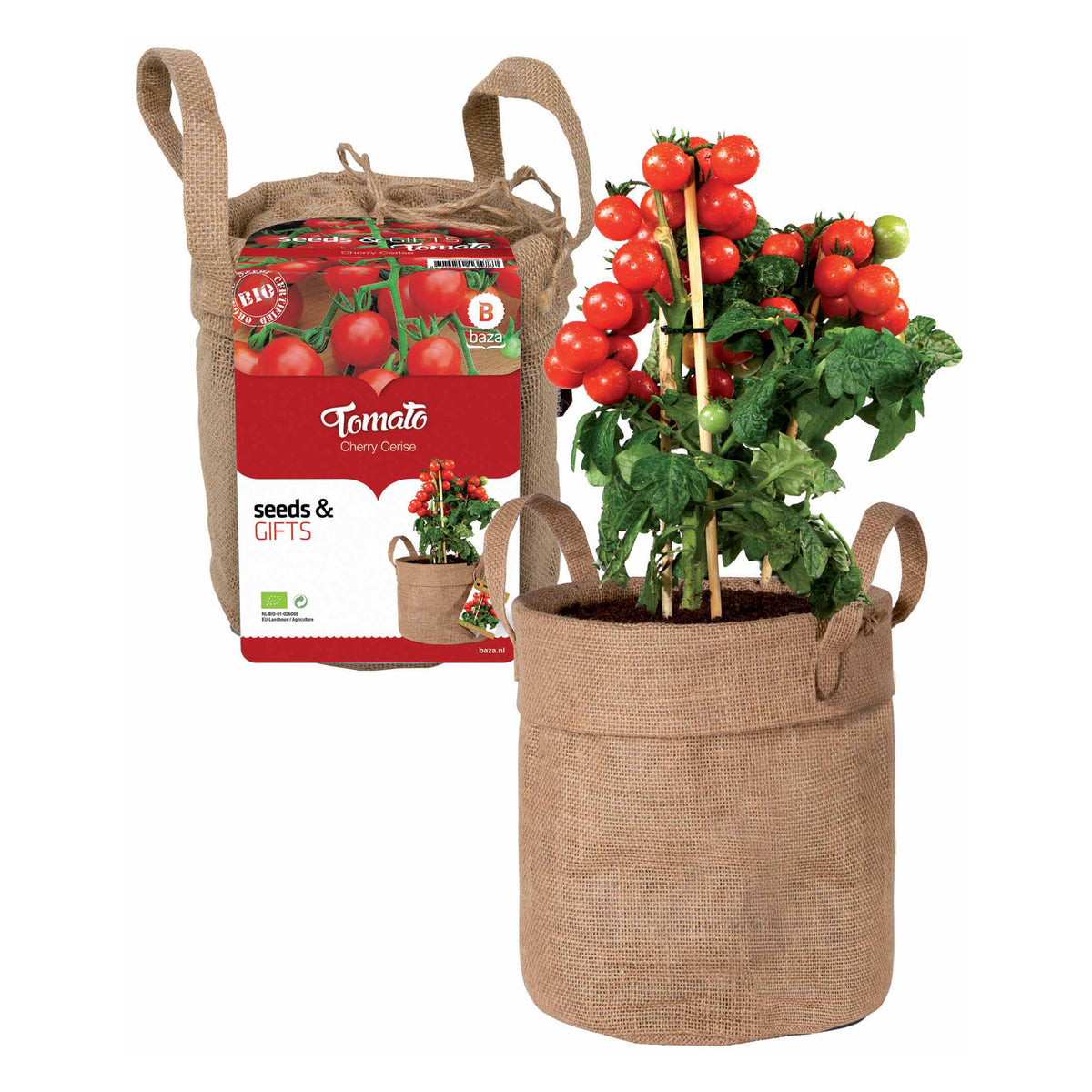 Kit Tomate cerise avec sac déco et terreau