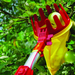  - Cueille-fruits 32 cm Multi-Star WOLF - Outillage à main