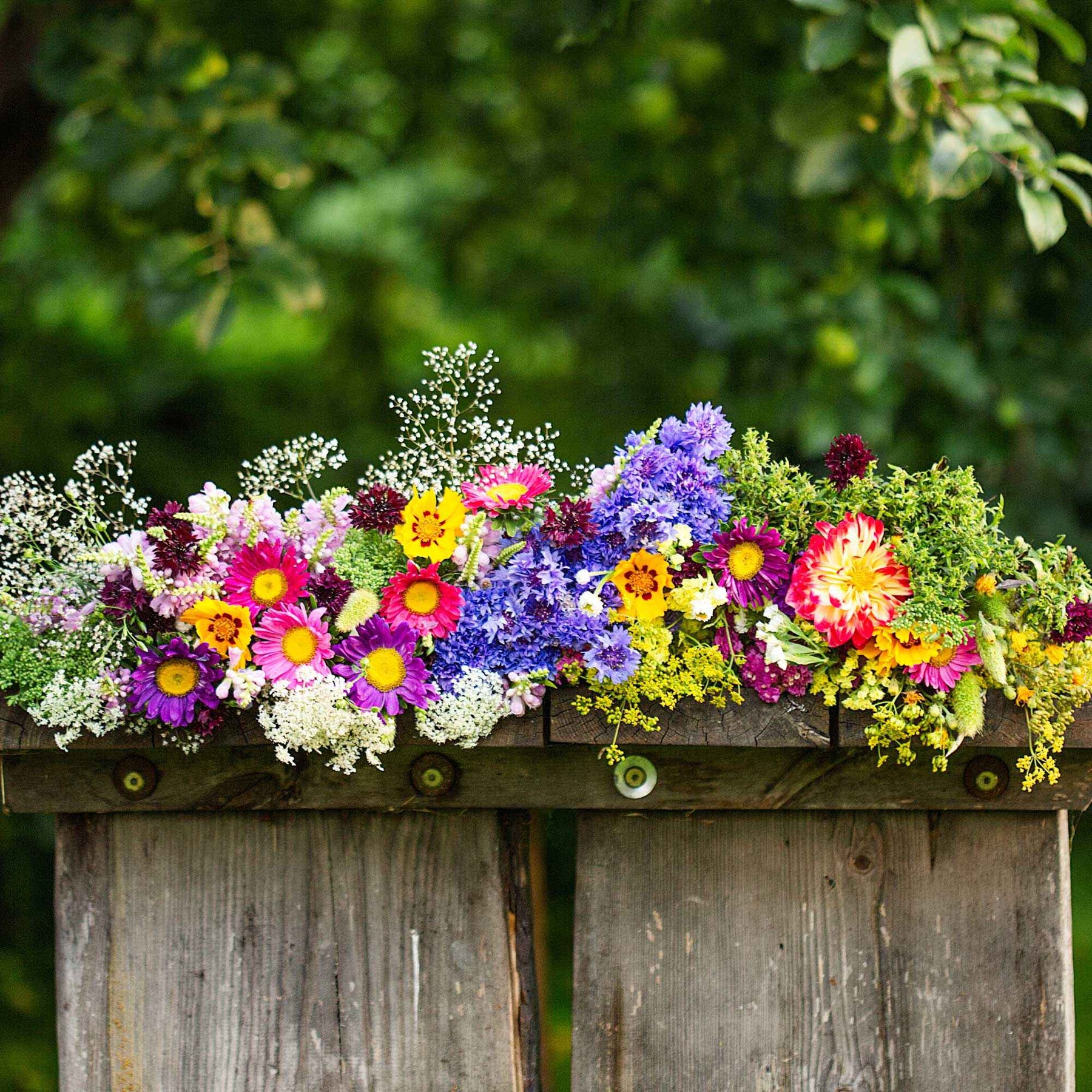 Tapis de fleurs pour jardinière - Willemse