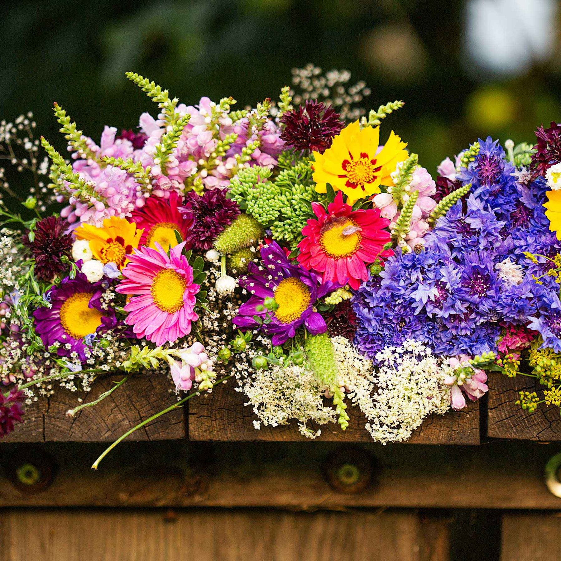 Tapis de fleurs pour jardinière -  - Willemse