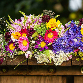 Tapis de fleurs pour jardinière -  - Willemse