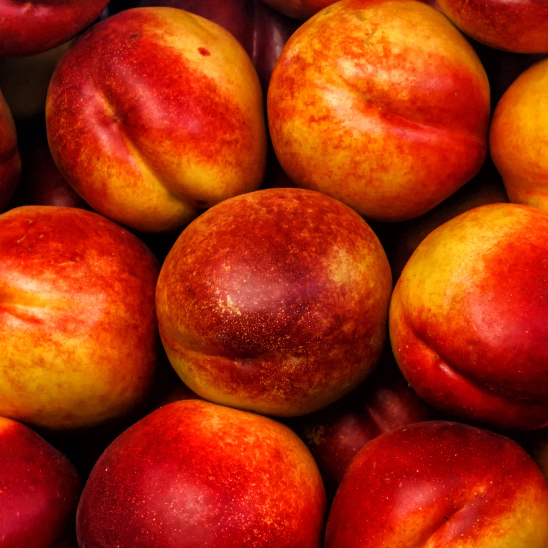 Nectarine Flavor - Willemse