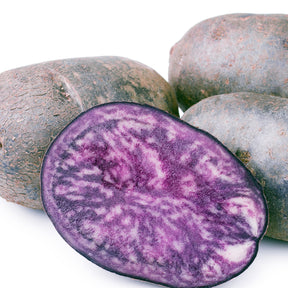 Plants de pommes de terre Bio - Pommes de terre Ulysse Bio - Solanum tuberosum ulysse