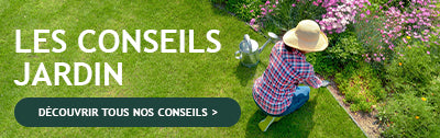 Blog Conseils Jardin Willemse