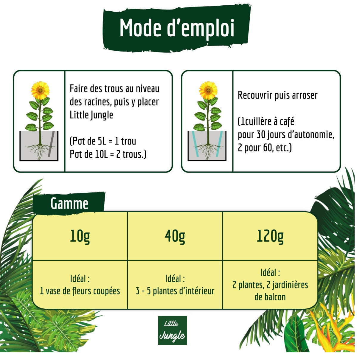 Matériel d'arrosage et récupérateurs d'eau - Rétenteur d'eau pour plantes d'intérieur BERGER WORLD - 