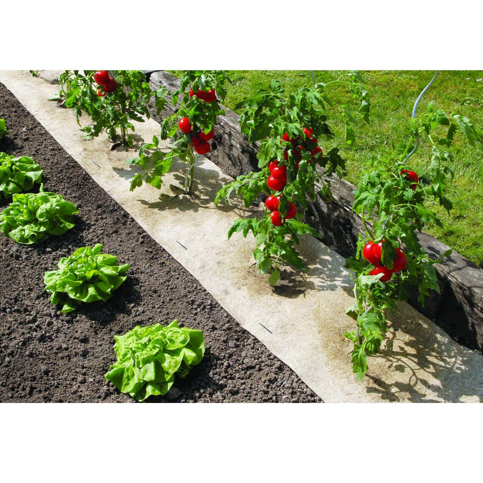 Toile de paillage naturel -  - Willemse