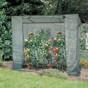 Serre pour tomates - Willemse