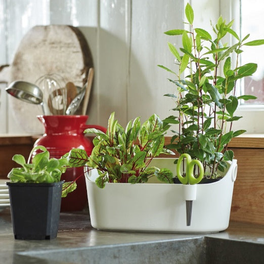 Cache-pots & Pots - Cache-pot Brussels Herbs Station blanc ELHO - 