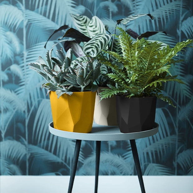  - Elho Cache-pot B for rock ocre - Cache-pots & Pots