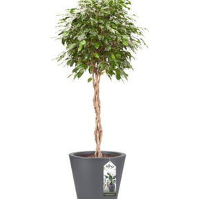 Pot Pure Staight Round anthracite ELHO -  - Willemse
