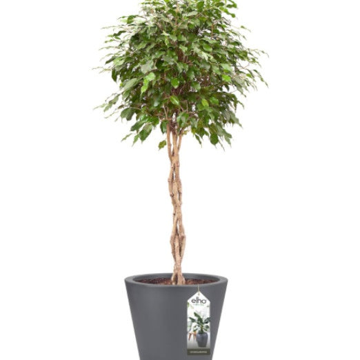 Pot Pure Staight Round anthracite ELHO -  - Willemse