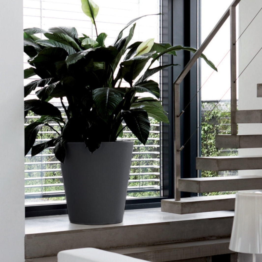 Vente Pot Pure Staight Round anthracite ELHO - 