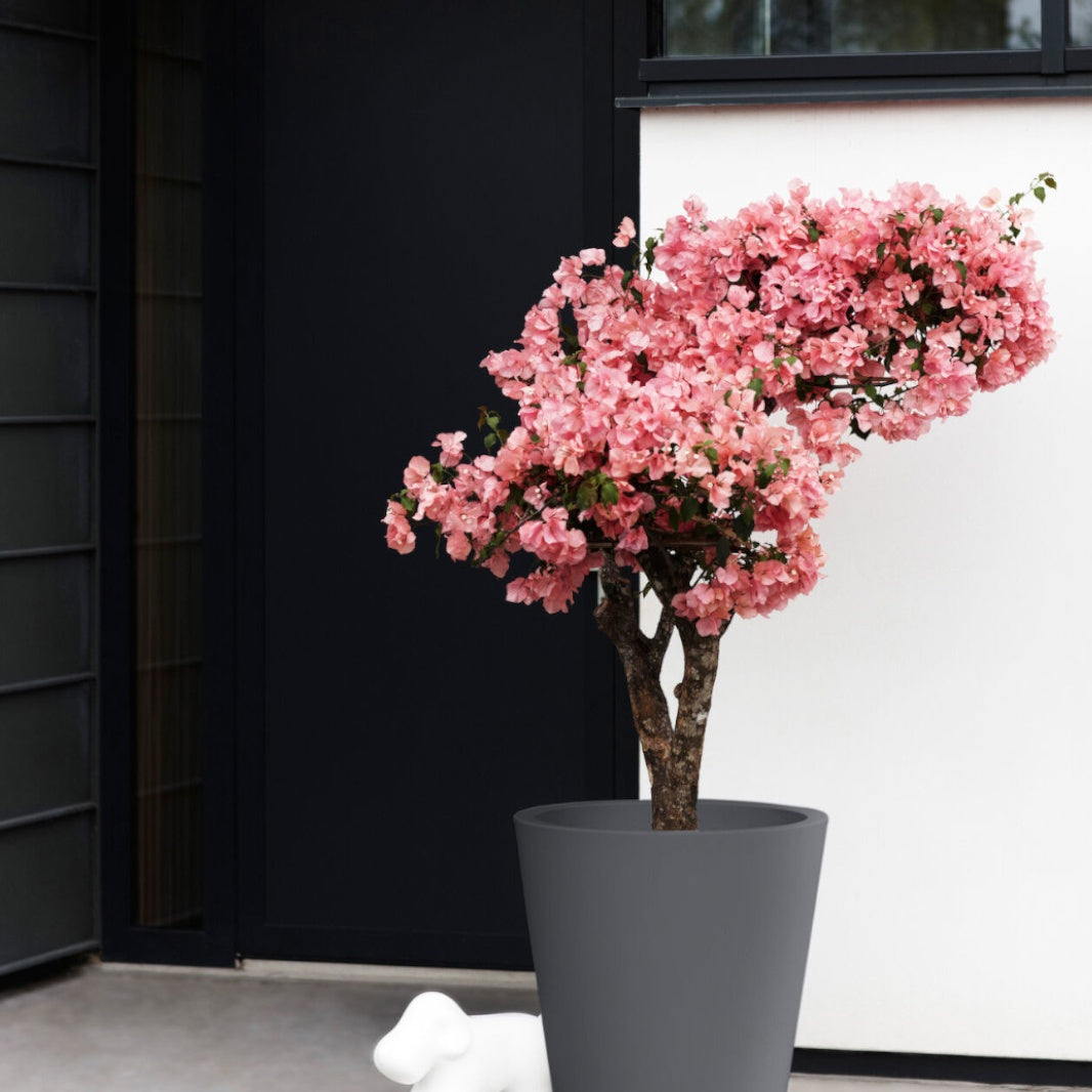 Vente Pot Pure Staight Round anthracite ELHO