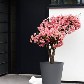 Vente Pot Pure Staight Round anthracite ELHO