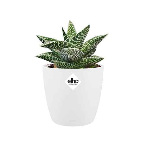 Vente Cache-pots & Pots - Cache-pot Brussels Round blanc ELHO