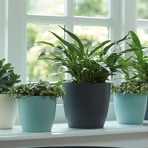 Cache-pots & Pots - Cache-pot Brussels Round blanc ELHO - 