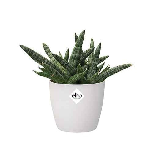 Vente  - Cache-pot Brussels Round blanc ELHO