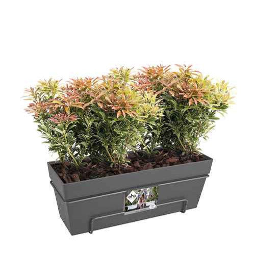  - Elho Balconnière Loft urban anthracite - Jardinières et balconnières