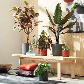 Elho Cache-pot B for soft rond anthracite - Cache-pots & Pots - Willemse
