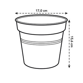 Vente Elho Pot pour orchidée - 