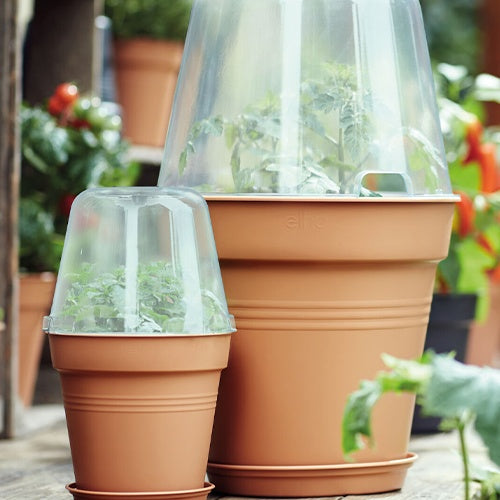 Cache-pots & Pots - Elho Pot pour orchidée - 