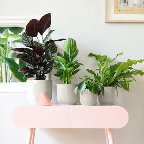 Vente Cache-pot Vibes fold Blanc soie ELHO - Cache-pots & Pots
