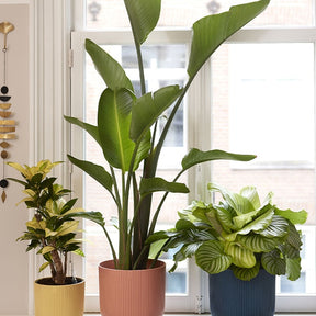 Cache-pots & Pots - Cache-pot Vibes fold Bleu foncé ELHO - 