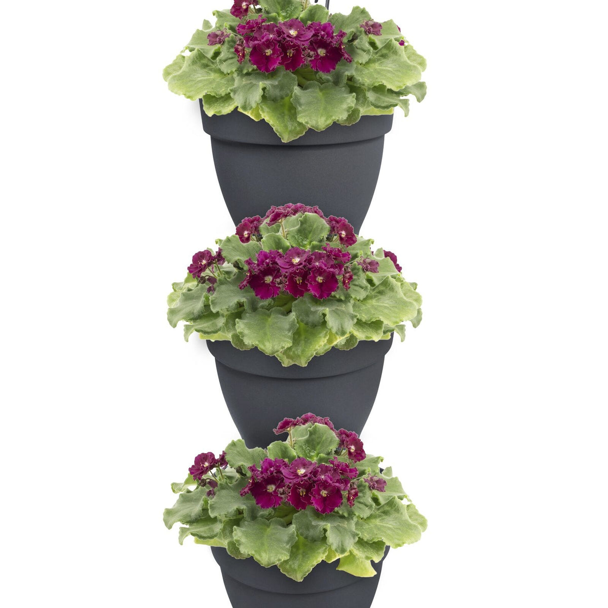 3 Pots de fleurs Vibia campana forêt Anthracite ELHO -  - Willemse