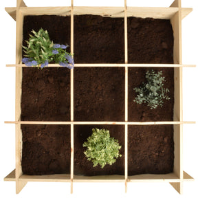 Carré potager en bois de Pin FSC -  - Willemse
