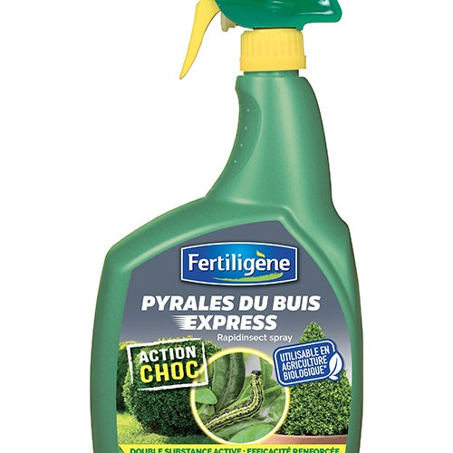 Traitement Pyrale du buis FERTILIGENE - Willemse