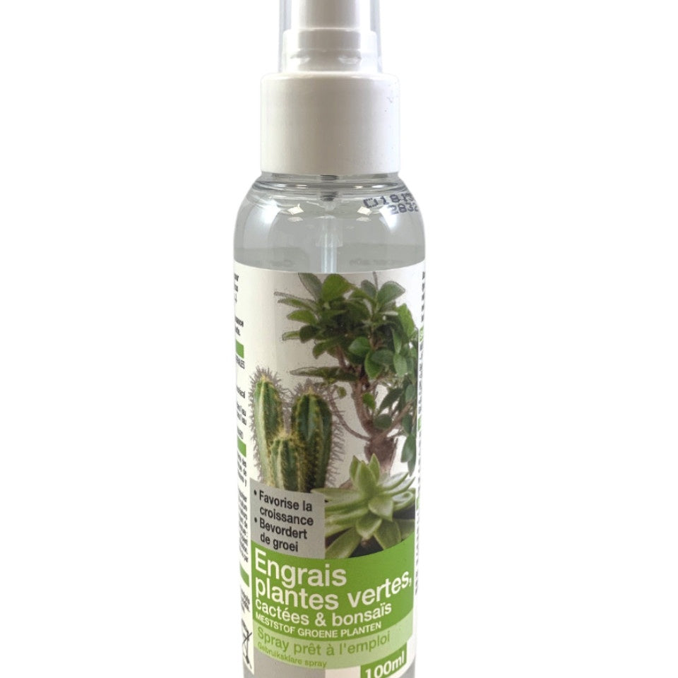 Engrais plantes vertes - Willemse