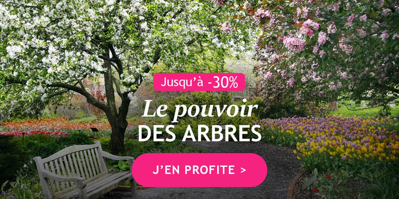 Le pouvoir des arbres : jusqu à -30%
