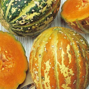 Cucumis melo oranje ananas - Melon ananas Oranje Ananas - Melons