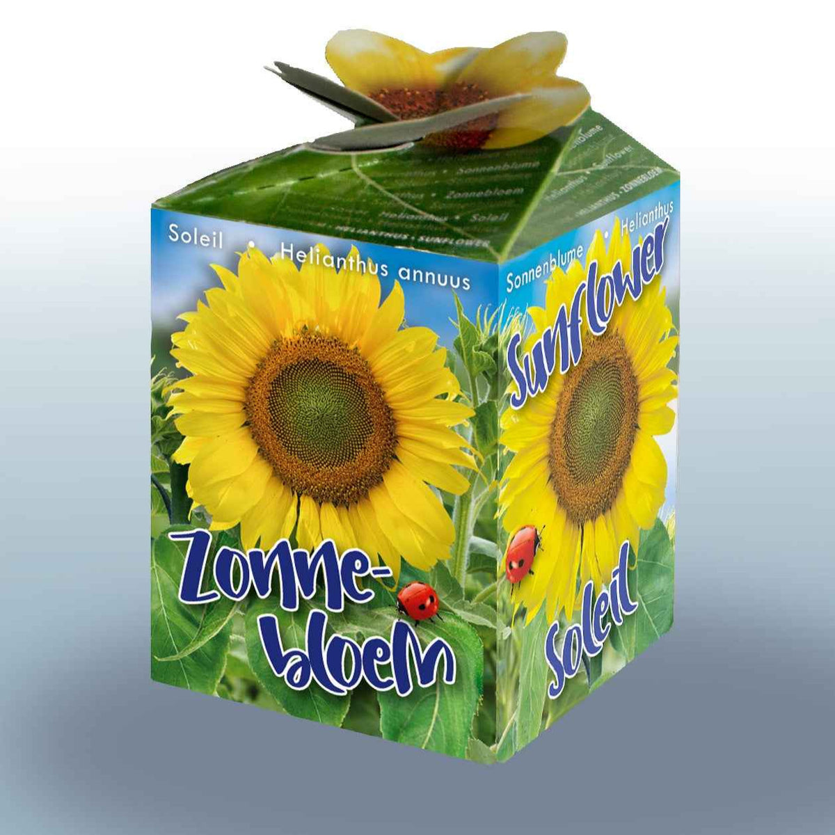 Kit Tournesol - Willemse