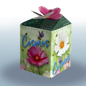 Kit Cosmos - Willemse