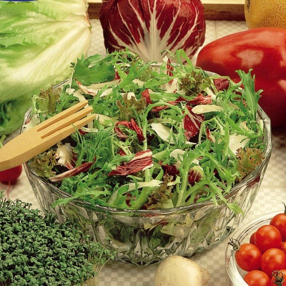 Salades gastronome en mélange - Willemse