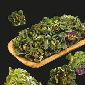 Kalettes, Flowersprout - Willemse