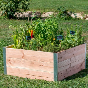Carré potager en bois Douglas - Willemse