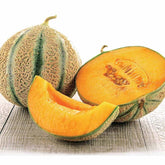 Melon Stellio F1 - Willemse