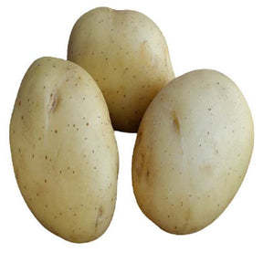 25 Pommes de terre Vitabella Bio - Willemse