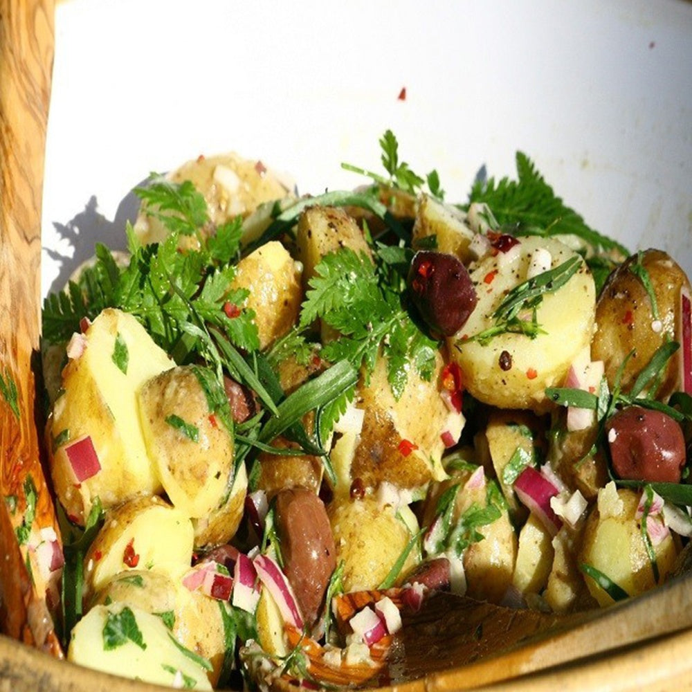 Solanum tuberosum goldmarie - 25 Pommes de terre Goldmarie Bio - Plants de pommes de terre Bio