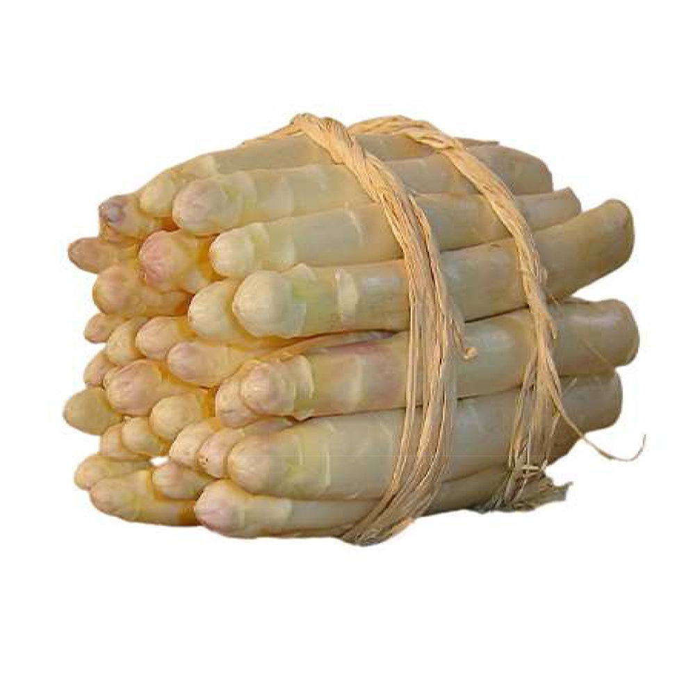 Asperges - 10 Asperges Argenteuil - Asparagus officinalis argenteuil